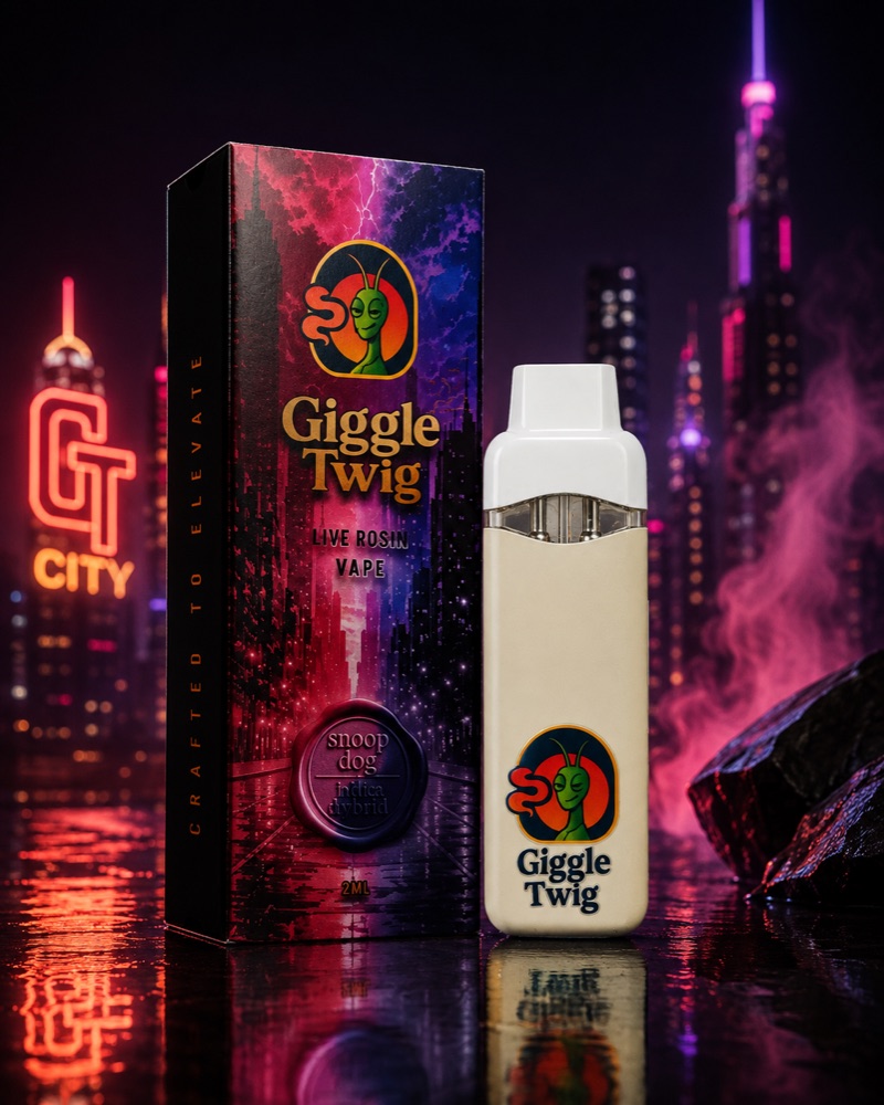 GT Dual — Giggle Twig disposable vape device with its box, against the GT City skyline artwork